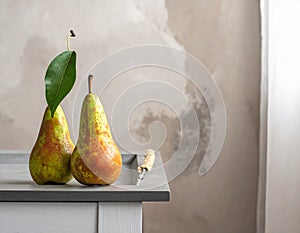 Two ripe pears on the gray table, shut up. Text area
