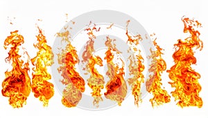 Fire flames isolated on white background