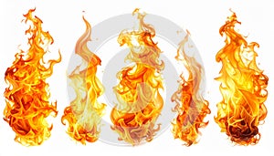 Fire flames isolated on white background