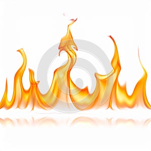 Fire flames isolated on white background