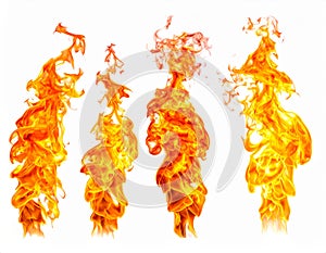 Fire flames isolated on white background