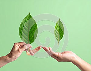 Vector sign environment friendly, hand and leaf. creative concept.