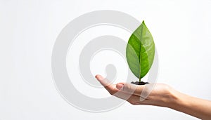 Vector sign environment friendly, hand and leaf. creative concept.