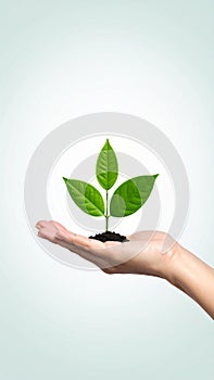 Vector sign environment friendly, hand and leaf. creative concept.