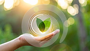 Vector sign environment friendly, hand and leaf. creative concept.