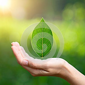 Vector sign environment friendly, hand and leaf. creative concept.