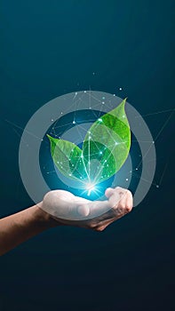 Vector sign environment friendly, hand and leaf. creative concept.