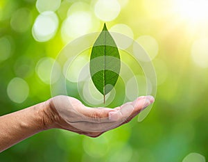 Vector sign environment friendly, hand and leaf. creative concept.