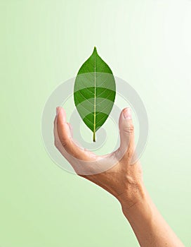 Vector sign environment friendly, hand and leaf. creative concept.