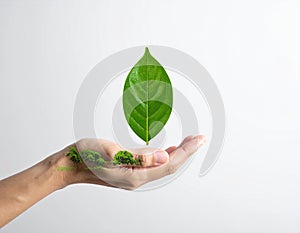 Vector sign environment friendly, hand and leaf. creative concept.