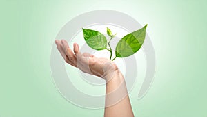 Vector sign environment friendly, hand and leaf. creative concept.