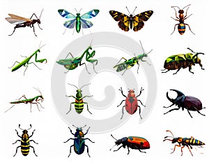 Bright insect icons, vector set. Abstract triangular style. mantis, grasshopper
