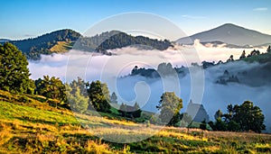 The beautiful view of the houses and trees covered in morning mist.