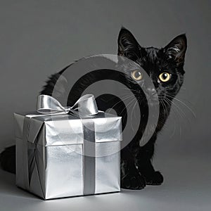 Black cat with silver gift box in an elegant gray style