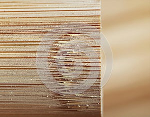 Fine Natural Bamboo Fiber Close-Up Texture