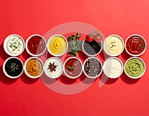 Different sauces, spices and herbs on a red background, straight line.