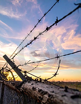Barbed wire fencing on a sky background. Close up