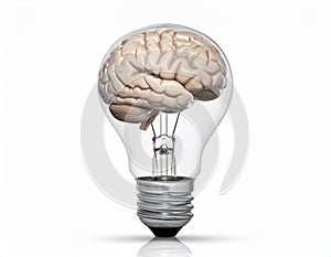 icon bulb brain