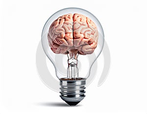 icon bulb brain