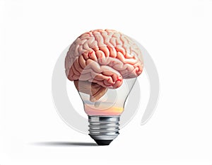 icon bulb brain