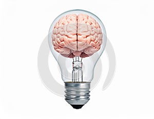 icon bulb brain