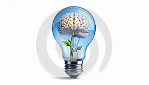 icon bulb brain