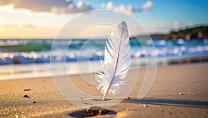 A Gentle Feather on a Sandy Shore