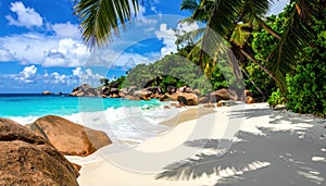 Tropical Beach Paradise