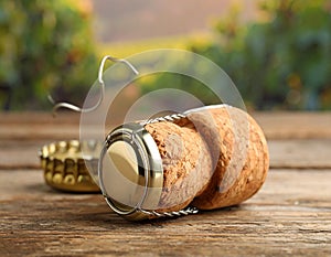 Cork of sparkling wine and muselet cap on wooden table, closeup. Space for text