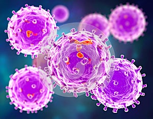 Measles morbilliviruses, illustration. Measles also known as morbilli and rubeola