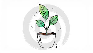 Cute houseplant in flower pot isolated on white background. Vector hand-drawn illustr