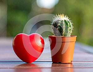 Toy heart and cactus illustration.