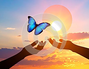 Butterfly Release at Sunset