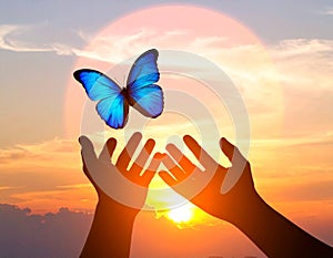 Reaching for Freedom: Butterfly and Sunset