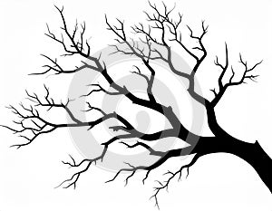 Silhouette of branch for horror feeling