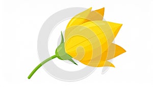 Yellow hand-dawn flower bud element
