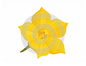 Yellow hand-dawn flower bud element