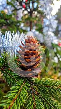 Christmas tree with a pinecone in tinsel
