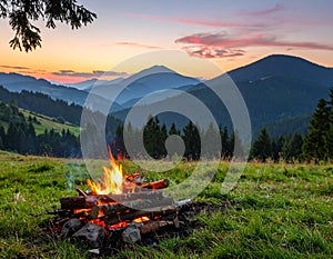 Beautiful bonfire with pile of burning firewood outdoors