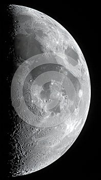 Half-moon phase with a detailed view of the lunar surface