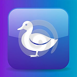 App icon vector-style image of a duck