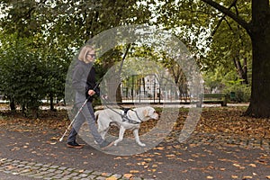 Blind woman walking in city park with a guide dog assistance