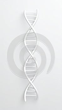 DNA Molecule Structure Model on White Background Biomedical Research