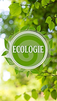 Ecologie Concept with Green Leaves and Bokeh Background for Nature Theme