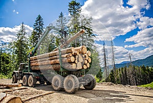Felling of trees, cut trees. Truck loading wood in the forest. Loading logs onto a logging truck. Portable crane on a