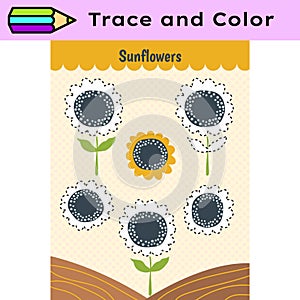 Pen tracing lines activity worksheet for children. Pencil control for kids practicing motoric skills. Sunflower photo