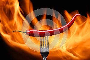 red chili pepper, pricked on a fork, on a background of fire, flames on a black background photo