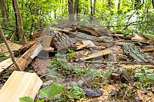 Generated ImageMake your own firewood in a national park for next winter. Relaxation for people. Renewable raw material