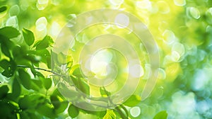 Generative AI abstract blur green color for backgroundblurred and defocused effect spring concept for designnature