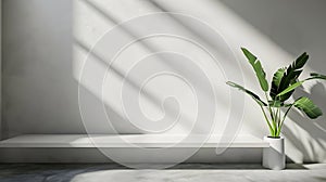 Generative AI Background White Wall Studio with  Shadow Leaves light Cement floor Surface Texture BackgroundEmpty